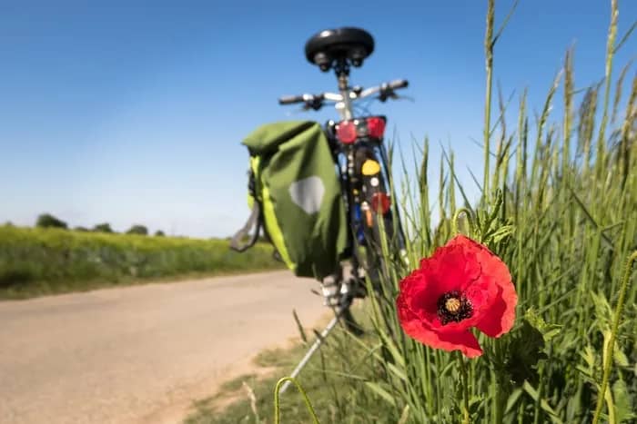 Illustration de l'événement : Balades découvertes du territoire à vélo