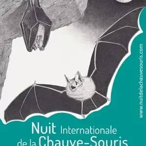 Illustration de l'événement : Diaporama et balade crépusculaire animée