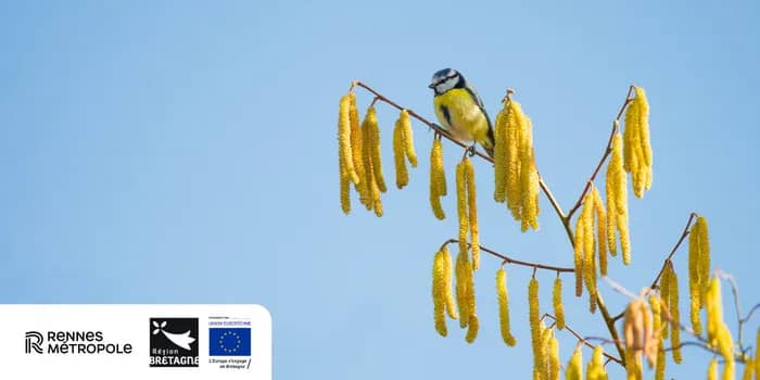Illustration de l'événement : À la découverte des oiseaux des Prairies Saint-Martin