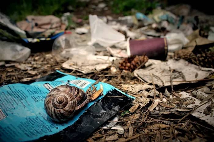 Illustration de l'événement : CHAVILLE - Déchets : enjeux, impacts et solutions près de chez vous !