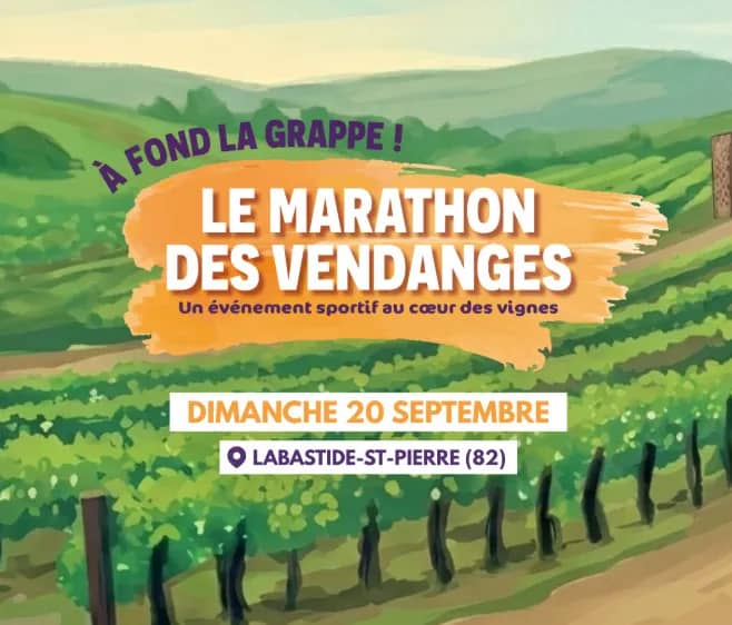 Illustration de l'événement : Marathon des Vendanges 2026