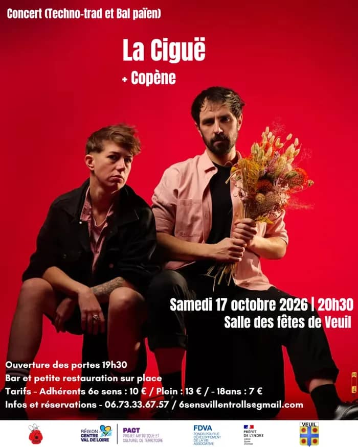 Illustration de l'événement : Concert, bal techno et néo-trad