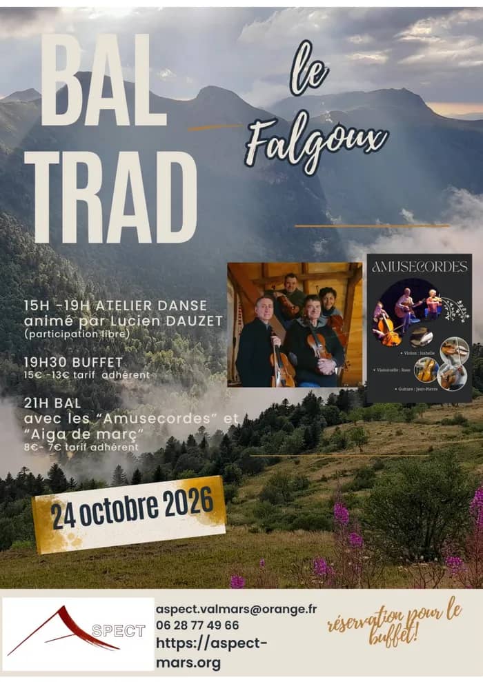 Illustration de l'événement : bal trad et atelier danse