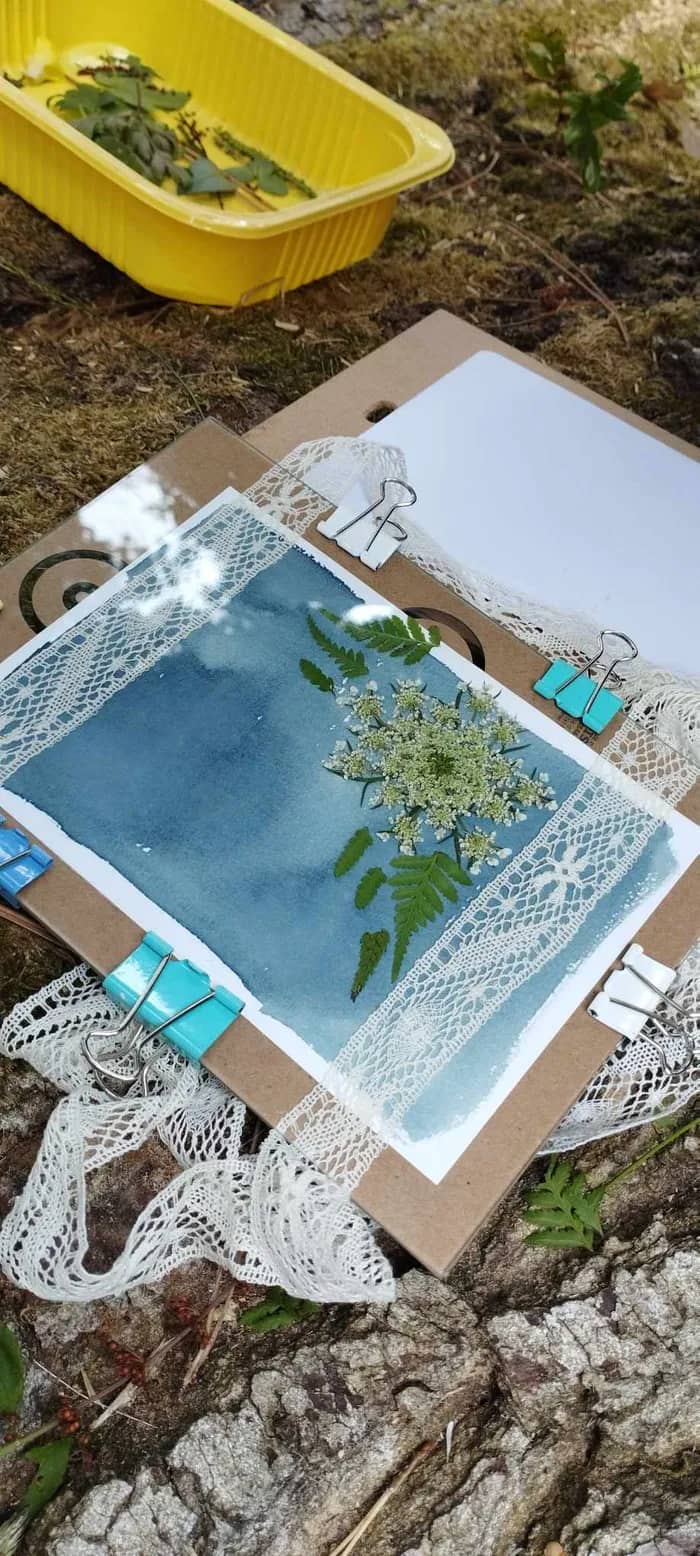Illustration de l'événement : Sortie végétale et créative : initiation au cyanotype