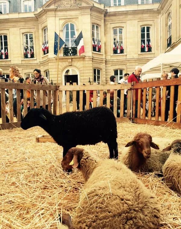 Illustration de l'événement : Patrimoine naturel : immersion dans une ferme pédagogique