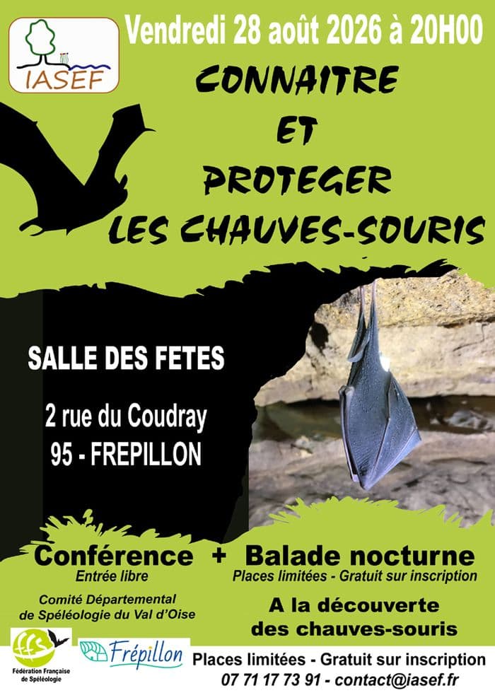 Illustration de l'événement : Connaître et protéger les chauves-souris à Frépillon