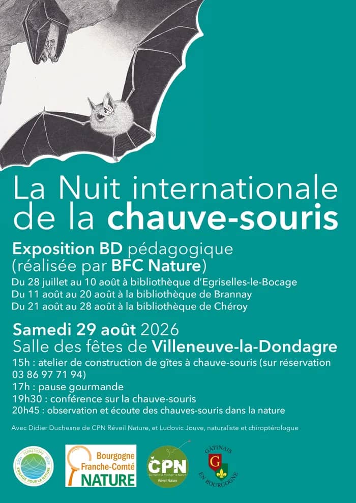 Illustration de l'événement : La nuit internationale de la chauve-souris 2026