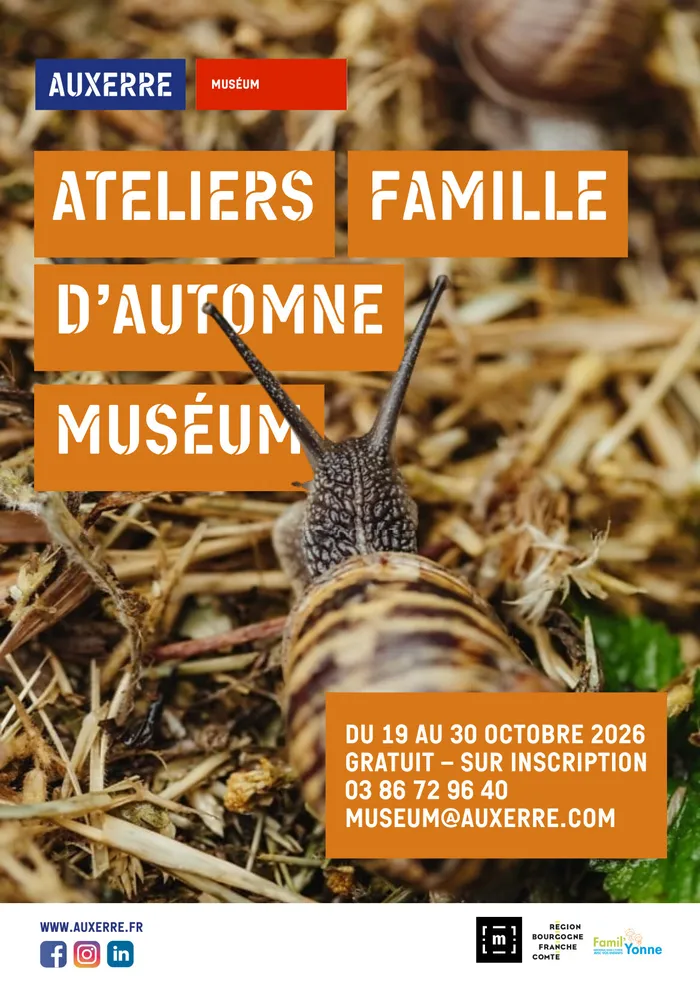 Illustration de l'événement : Ateliers familles d'automne