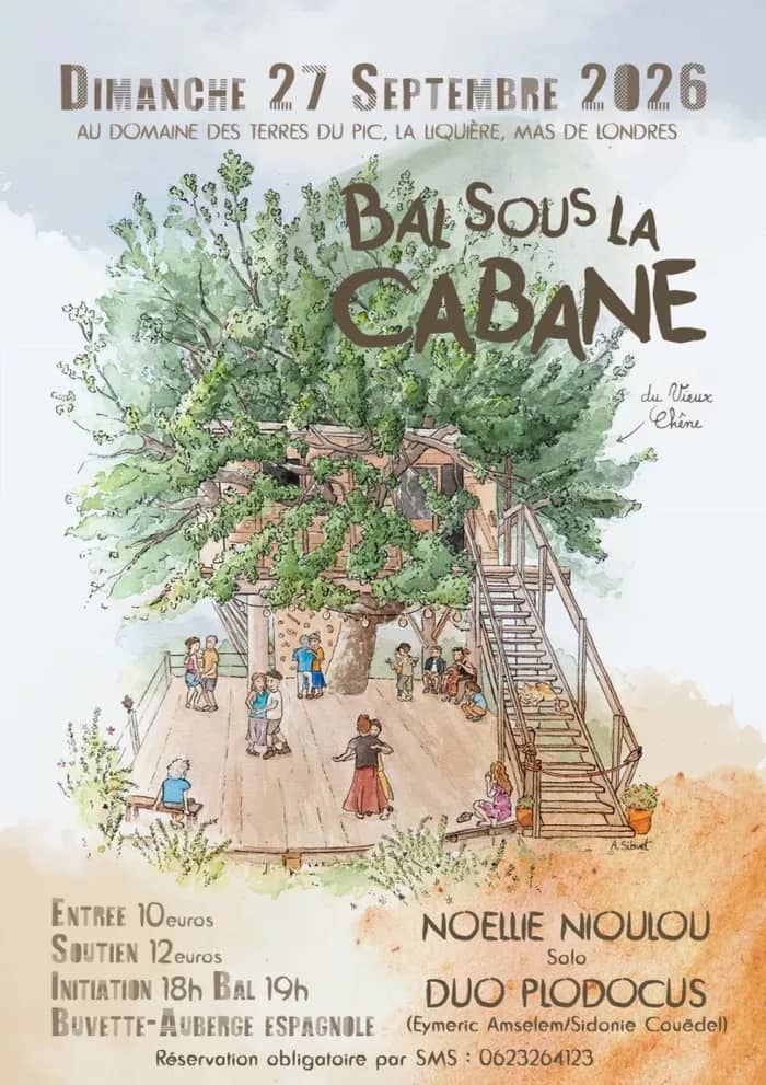 Illustration de l'événement : Bal sous la cabane - Noëllie Nioulou & Duoplodocus