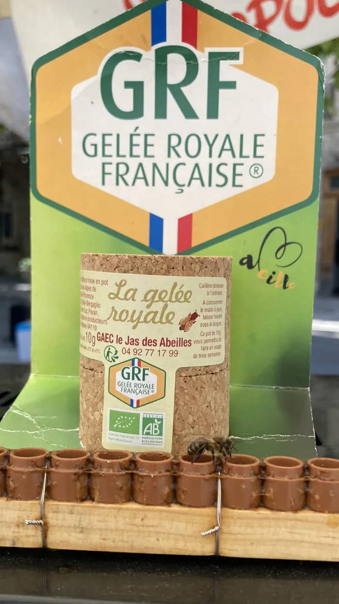 Illustration de l'événement : Le dimanche de la Gelée Royale