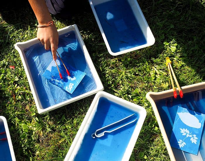 Illustration de l'événement : Atelier cyanotype en famille