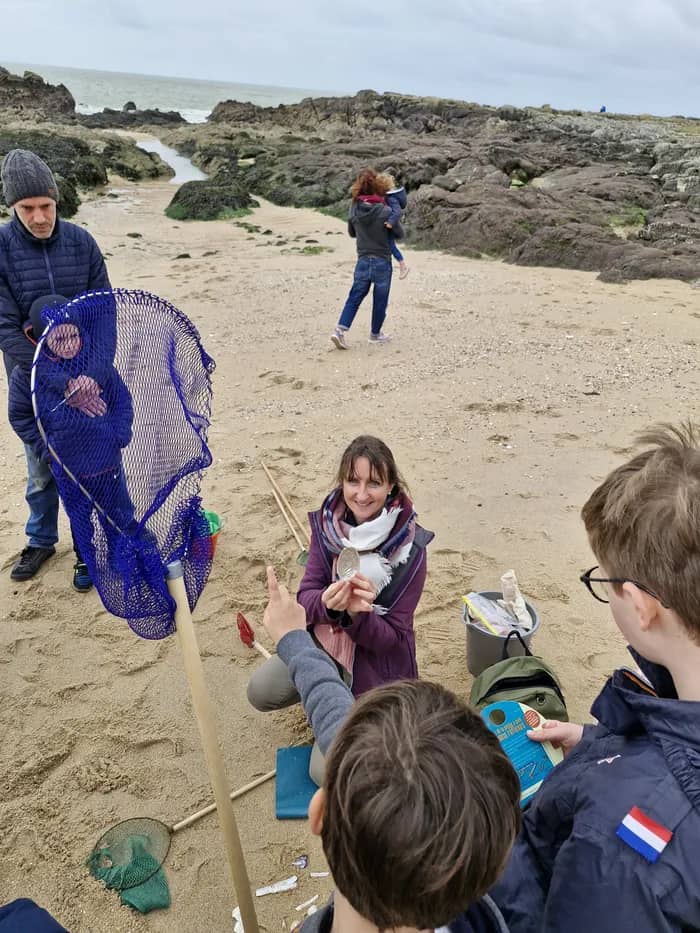 Illustration de l'événement : Initiation à la pêche à pied