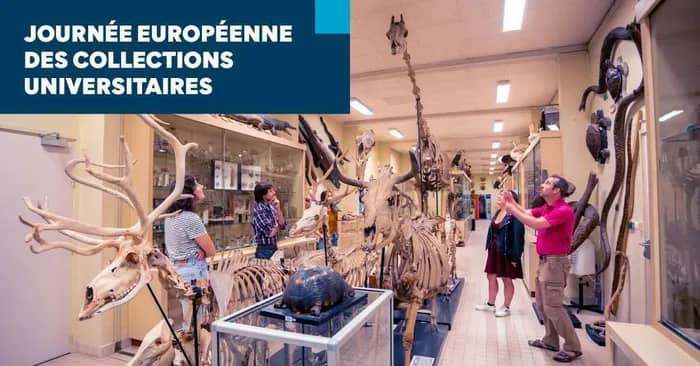 Illustration de l'événement : Journée européenne des collections universitaires