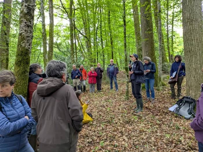 Illustration de l'événement : Caractériser les forêts anciennes et matures du Limousin
