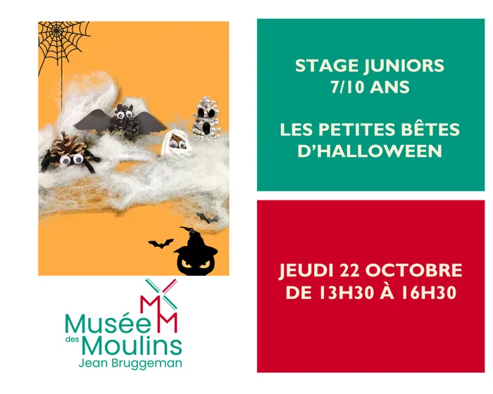 Illustration de l'événement : Stage Juniors 7/10 ans : les petites bêtes d'Halloween