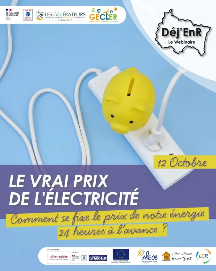 Illustration de l'événement : Webinaire : Le vrai prix de l’électricité !