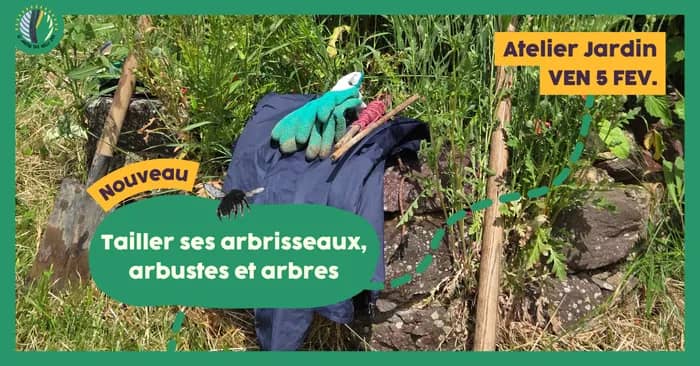 Illustration de l'événement : Atelier jardin : Tailler ses arbrisseaux, arbustes et arbres
