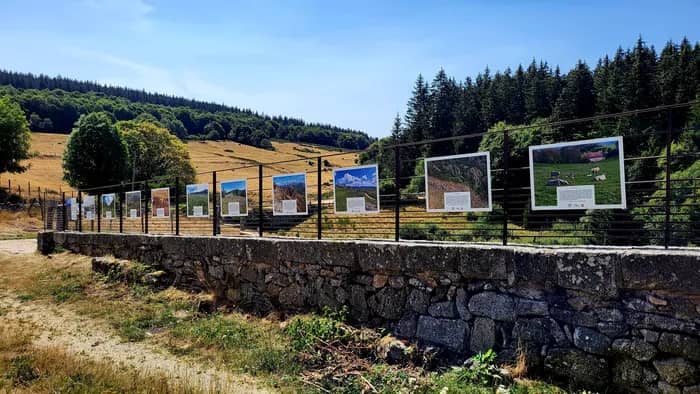 Illustration de l'événement : Exposition : "Voyage au cœur des prairies naturelles du Massif central"