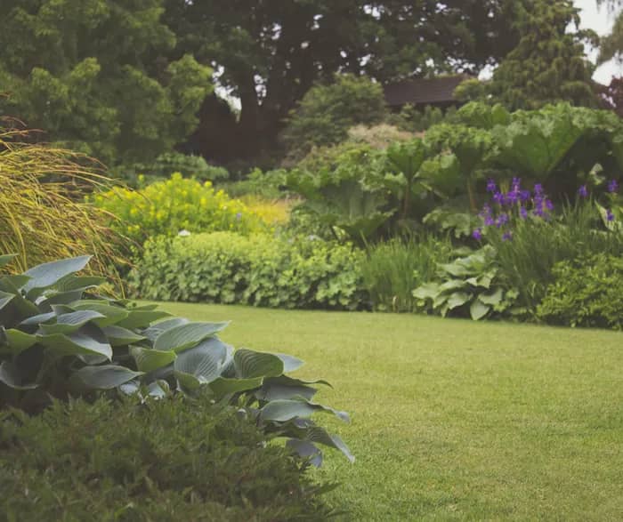 Illustration de l'événement : Visite guidée du jardin du Lansau à Marchiennes