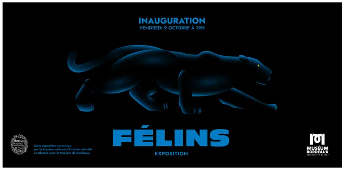 Illustration de l'événement : Inauguration de l'exposition Félins