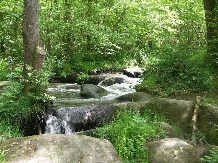 Illustration de l'événement : Contes au bruit des cascades