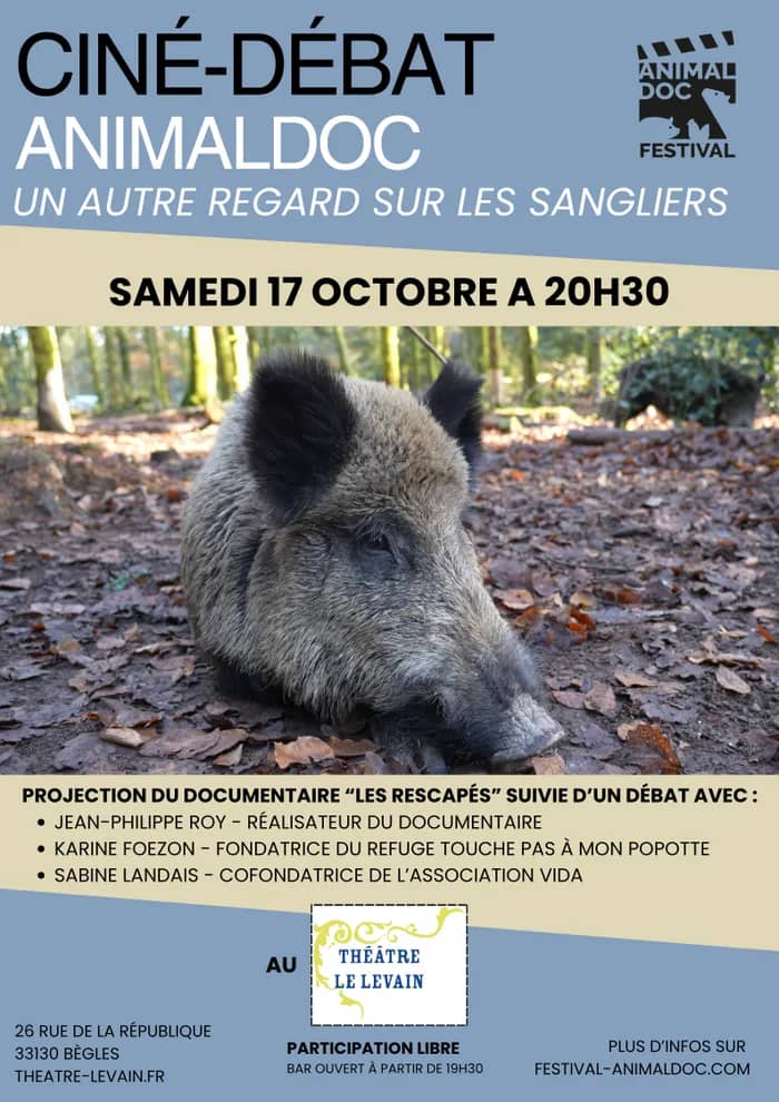 Illustration de l'événement : CINÉ-DÉBAT : Un autre regard sur les sangliers