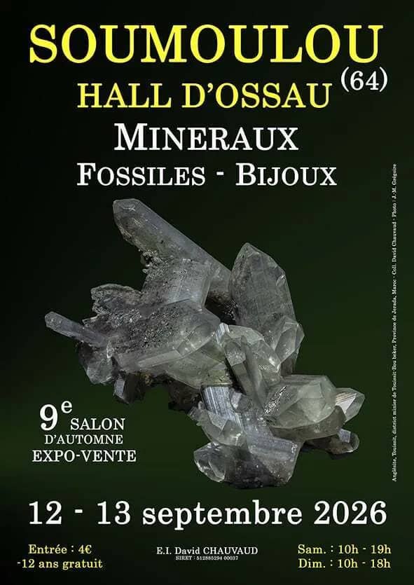 Illustration de l'événement : 9e SALON MINERAUX FOSSILES BIJOUX de SOUMOULOU (Pyrénées-Atlantiques)