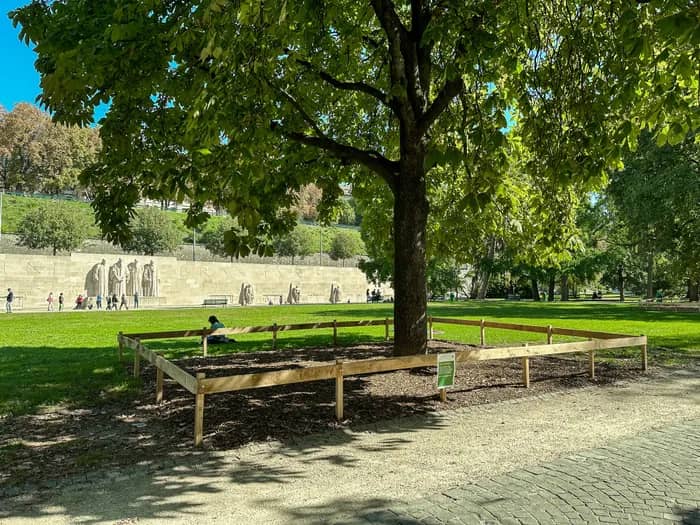 Illustration de l'événement : Le parc des Bastions : Patrimoine arboré et défis de conservation