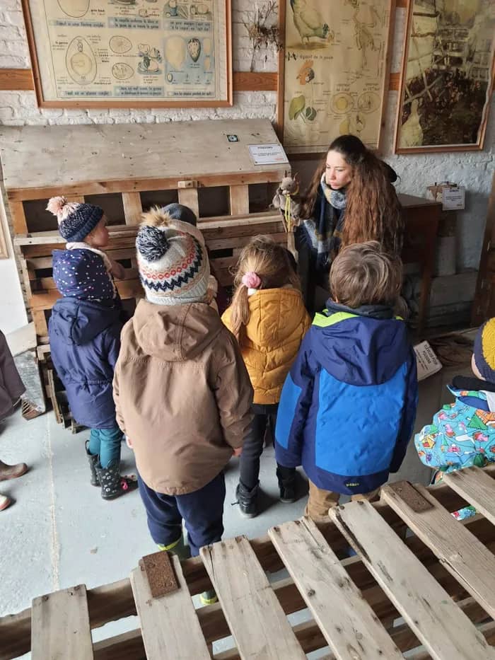 Illustration de l'événement : Visite guidée 2-5 ans | « Zélie, la petite souris, cherche un abri »