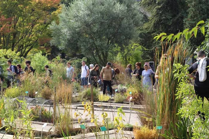 Illustration de l'événement : Visite libre - Le Jardin botanique, un patrimoine vivant
