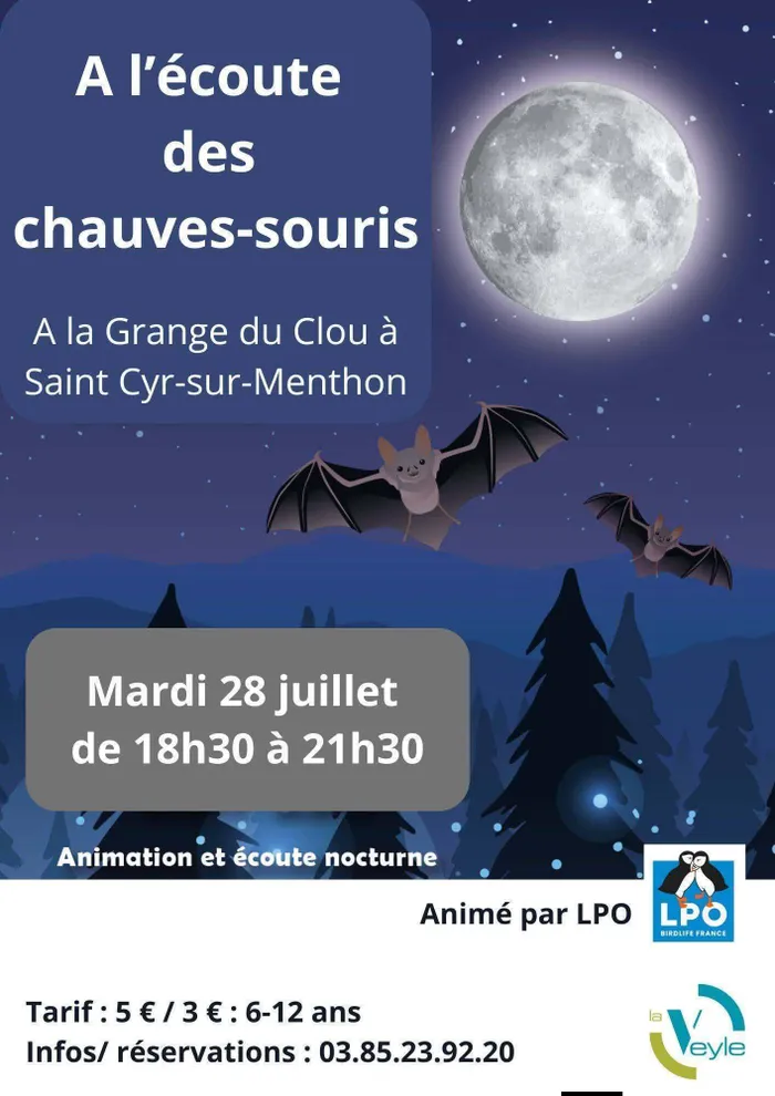 Illustration de l'événement : À l'écoute des chauve-souris