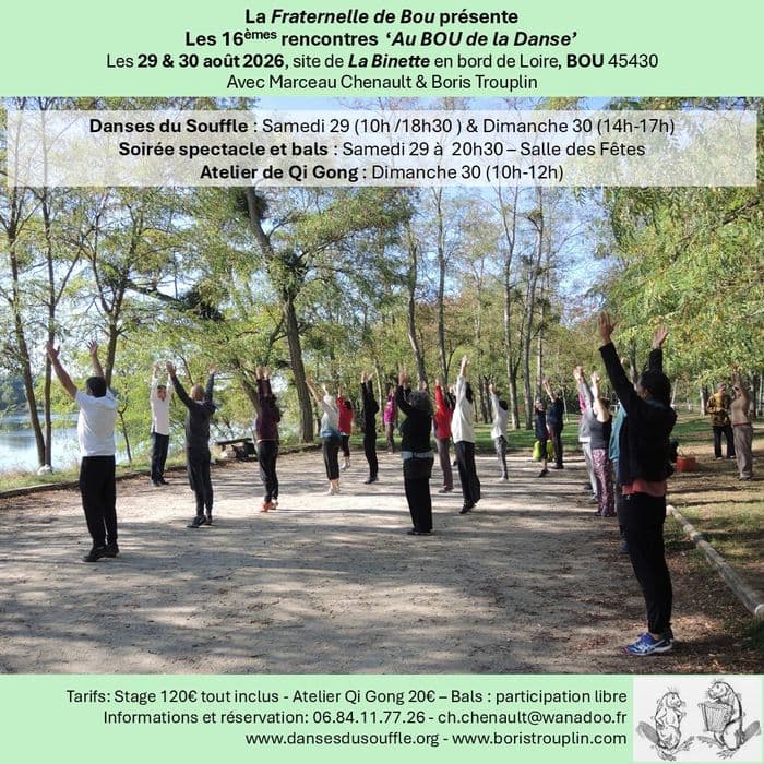 Illustration de l'événement : Rencontres Au Bou de la Danse