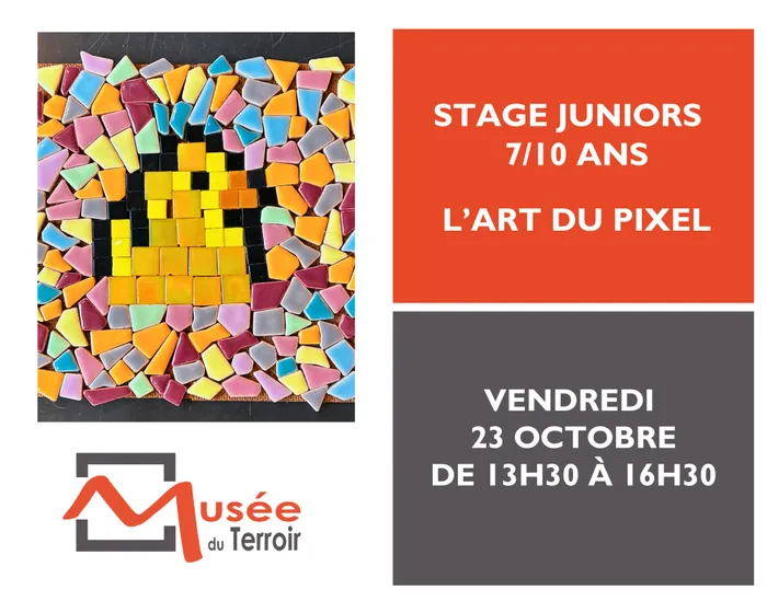 Illustration de l'événement : Stage Juniors 7/10 ans : l'art du pixel