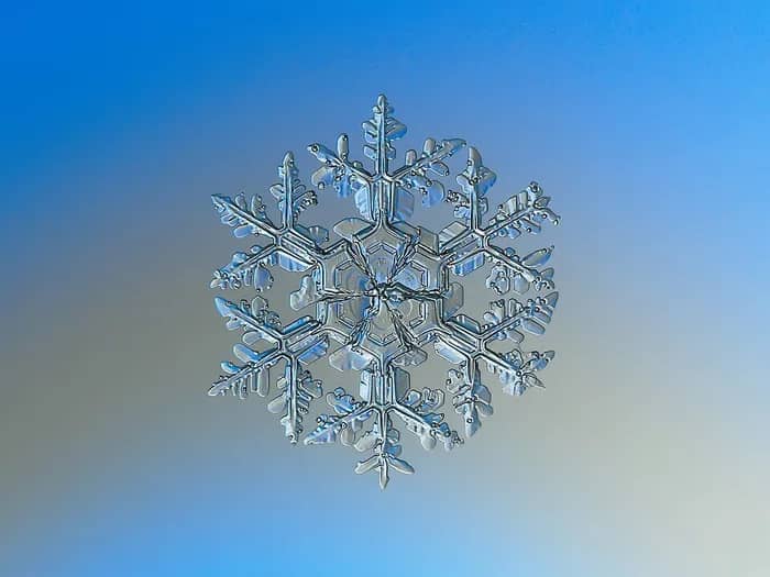 Illustration de l'événement : Des flocons par milliers
