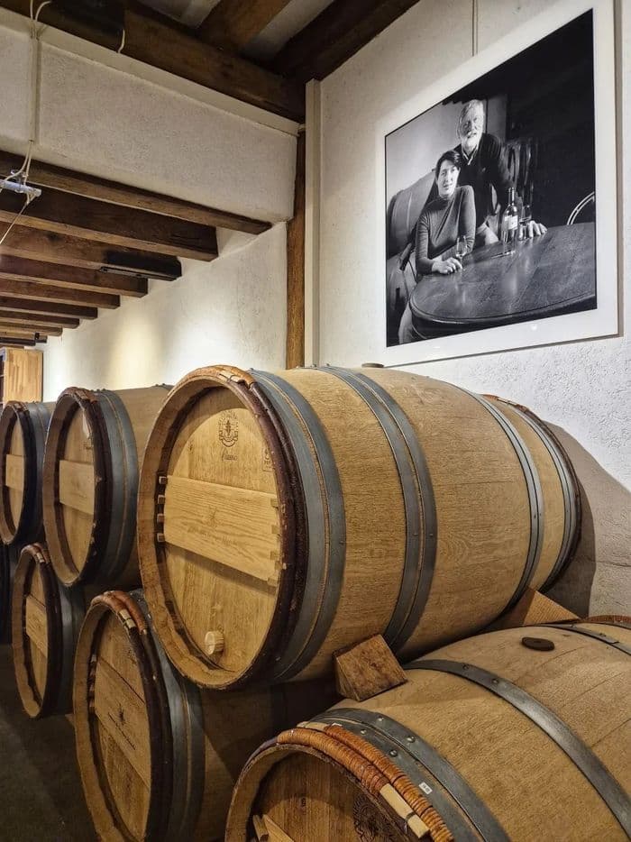 Illustration de l'événement : ESCAPADE VITICOLE : AU CŒUR DU TERROIR GENEVOIS