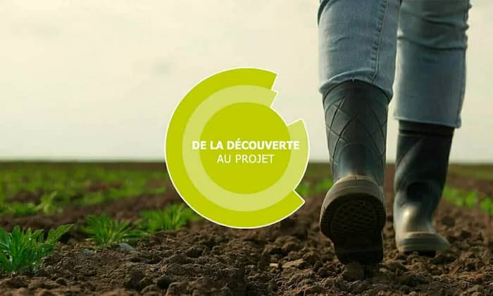 Illustration de l'événement : De la découverte au projet - Elevage bovin lait - Carquefou (44)