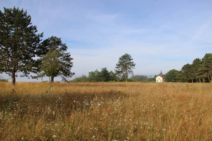 Illustration de l'événement : Balade « Découverte paysagère au plateau de Beauregard »