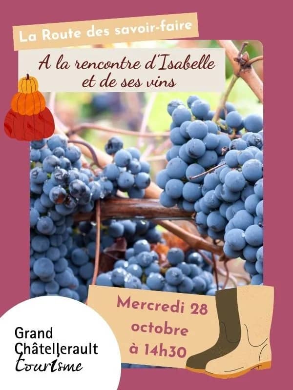 Illustration de l'événement : A la rencontre d'Isabelle et de ses vins