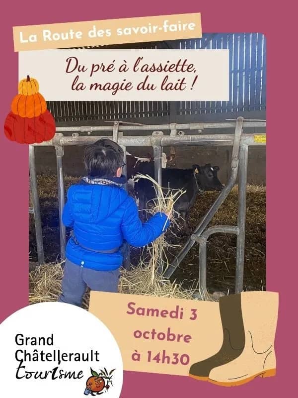 Illustration de l'événement : Du pré à l'assiette, la magie du lait