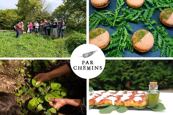 Illustration de l'événement : Cuisinez vos bouchées apéritives et cocktail à base de plantes sauvages