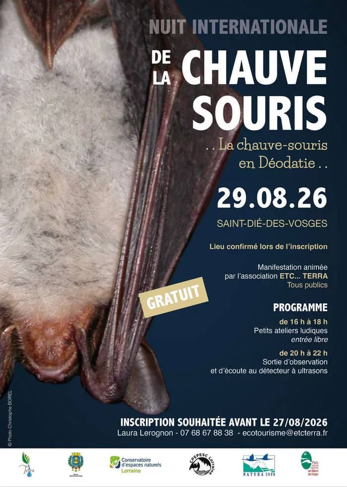Illustration de l'événement : La chauve-souris en Déodatie