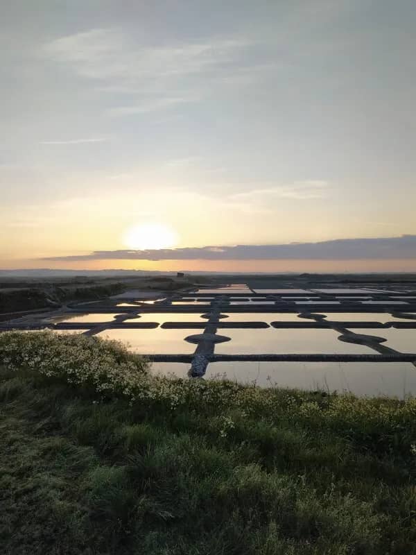 Illustration de l'événement : Visitez nos entreprises - "Fleur de sel" à Terre de Sel
