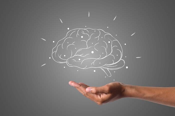 Illustration de l'événement : Mieux comprendre comment fonctionne notre cerveau