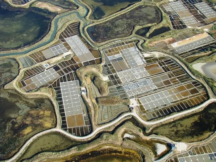 Illustration de l'événement : Conférence : L'interaction des énergies humaines et animales dans les marais salants