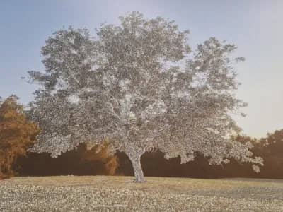 Illustration de l'événement : Exposition Profondeur de champ