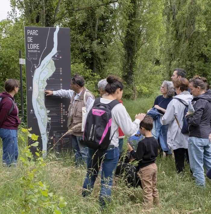 Illustration de l'événement : Balade découverte de la biodiversité du parc de Loire