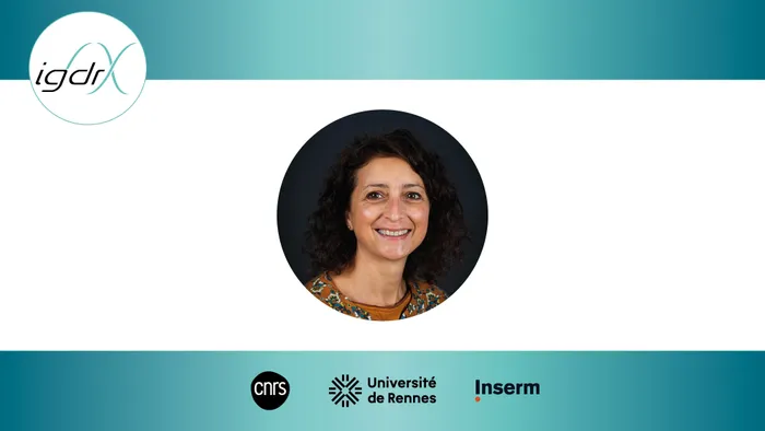 Illustration de l'événement : Soutenance de thèse - Céline Callens