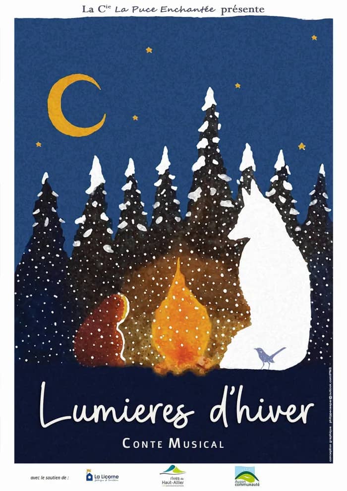 Illustration de l'événement : Journée Pro - Spectacle "Lumières d'hiver"