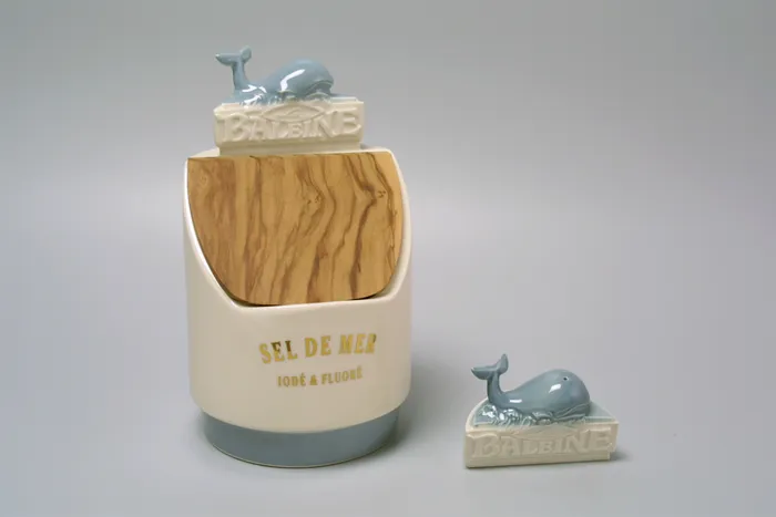 Illustration de l'événement : Conférence : « LES CERAMIQUES DROMOISES ET LEURS ARTISANS DU 17e SIECLE A NOS JOURS »