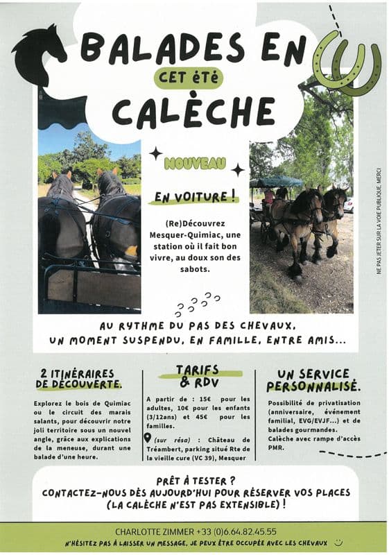 Illustration de l'événement : Balades en calèche